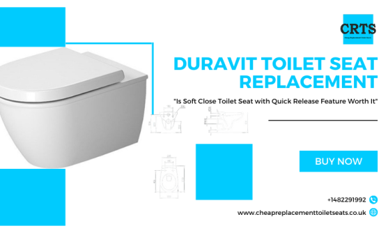 Duravit toilet seat replacement